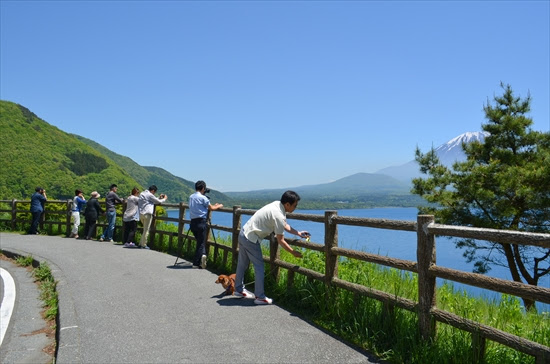 中ノ倉展望台