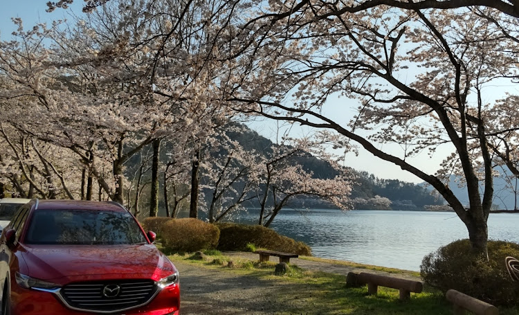 CX-8のかずかずさんですさんが投稿したカスタム事例の投稿画像1枚目