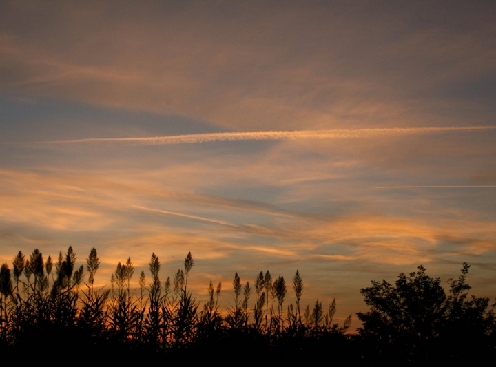 Il tramonto di una storia di Menz