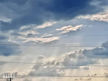 この主、もと天使につき。