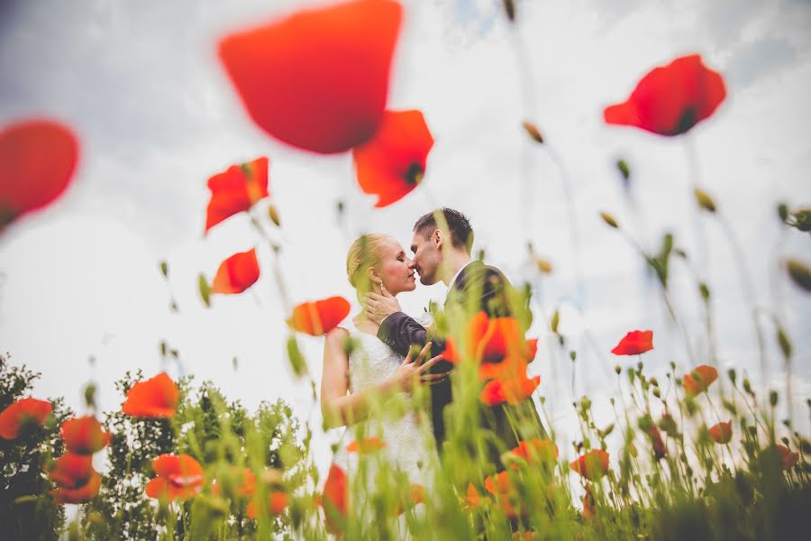 Fotógrafo de bodas Gabriella Hidvégi (gabriellahidveg). Foto del 12 de julio 2016