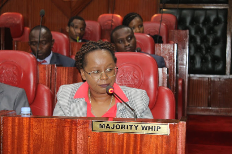 Annastaciah Githuba, Deputy Commissioner of the County Revenue Division during an ad-hoc committee at the chambers, Nairobi on January 23, 2024