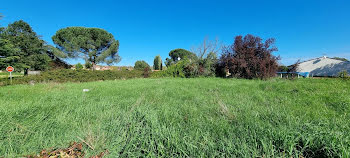 terrain à Sérignac-sur-Garonne (47)