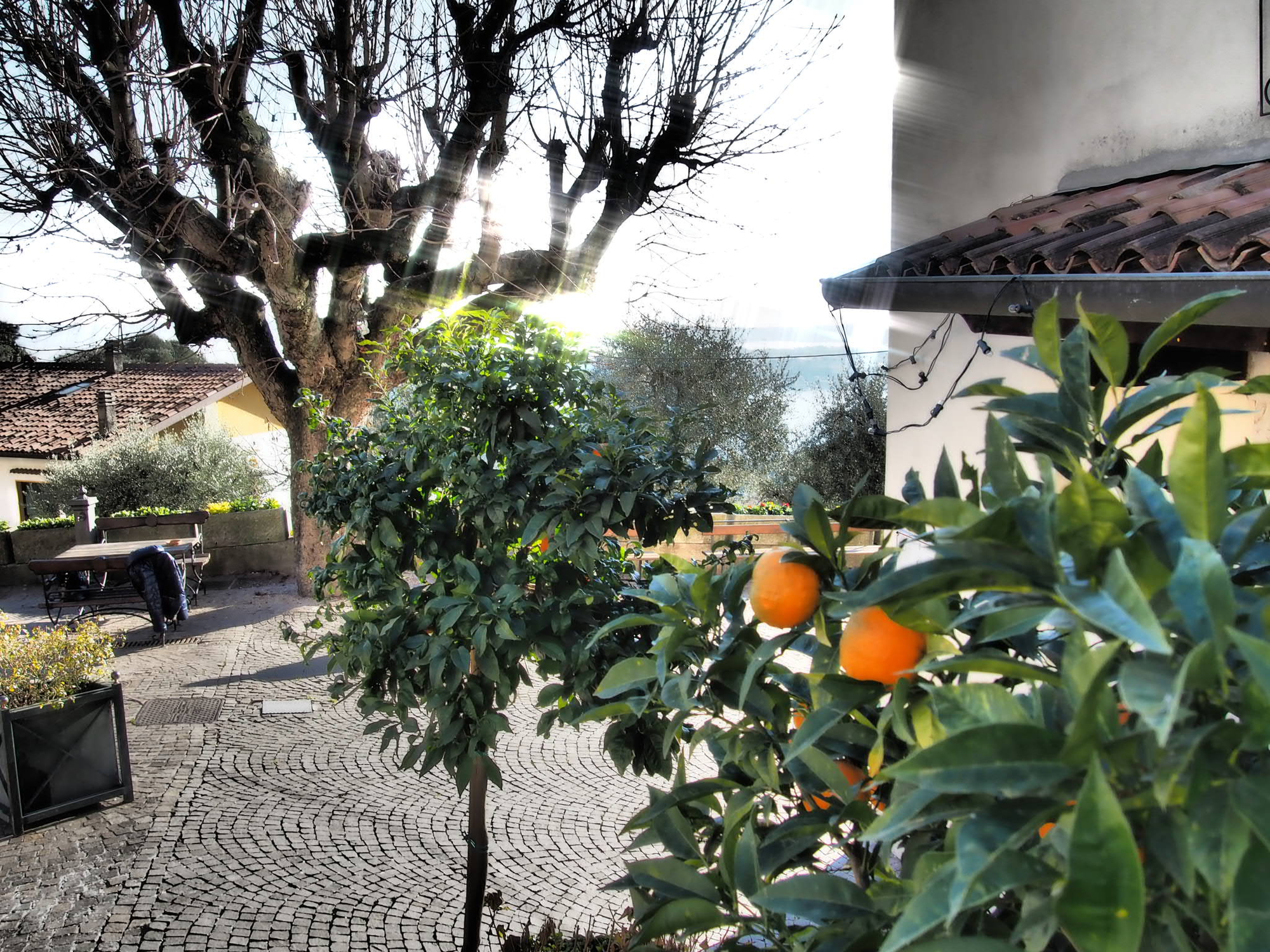 Colori e profumi con vista lago  di Marina Ingino ph