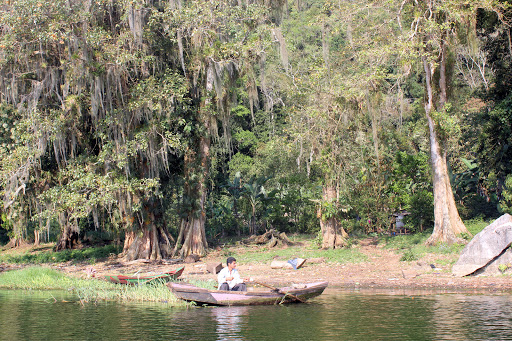 Fisherman - A fisherman waits quietly on Honduras' Lago de Yojoa during an early morning.