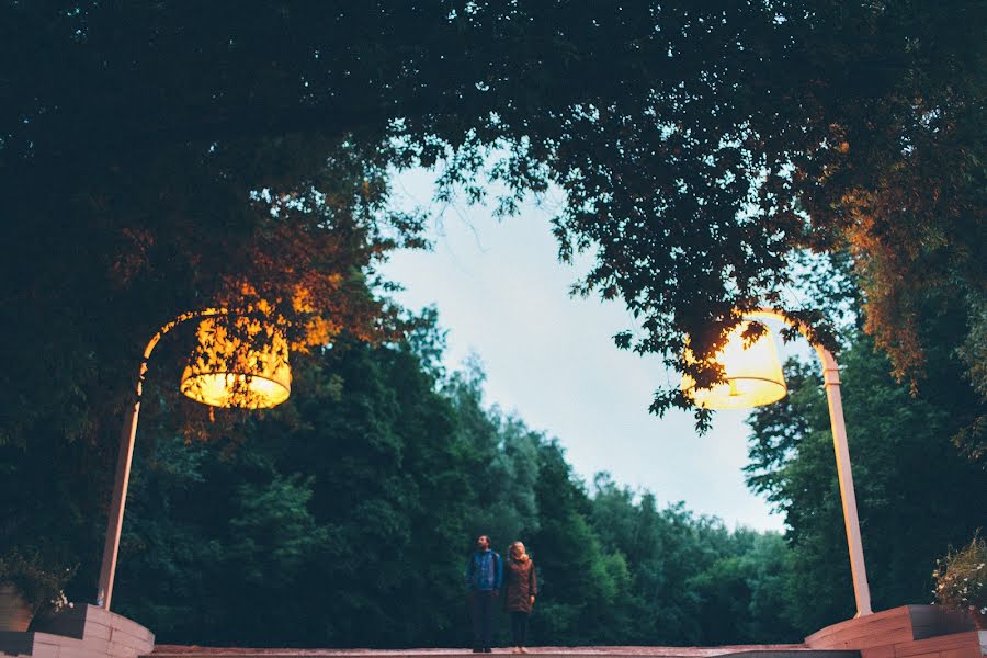 Wedding photographer Sergey Tereschenko (tereshenko). Photo of 27 June 2014