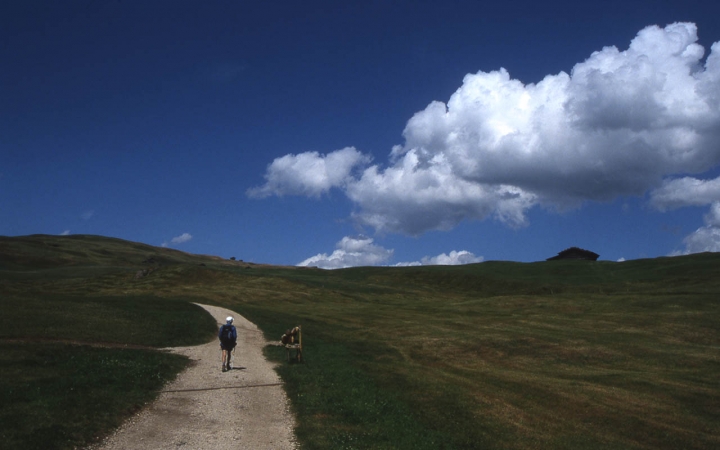 Alpe di Siusi di unpassoallavolta