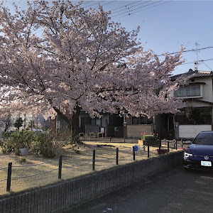 ゴルフ R