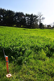 terrain à Saint-Bonnet-les-Oules (42)