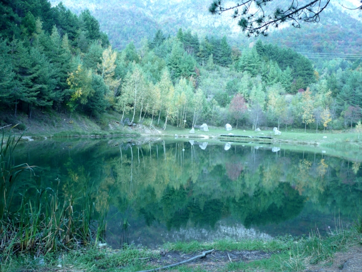 Riflesso verde di Reby