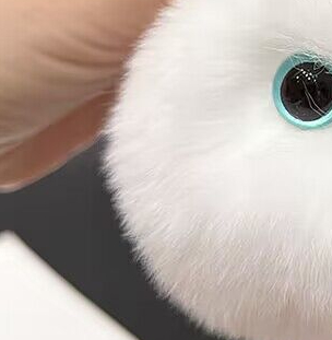 Title 1, Artificial Mink Hair Mydriasis Kitty Car Key Ri...