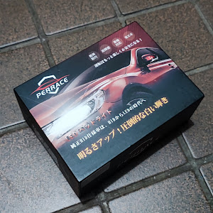 エスティマL MCR30W