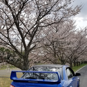 インプレッサ WRX STI GDB