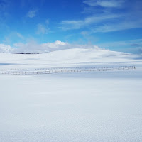 Un soffice mare di latte di 