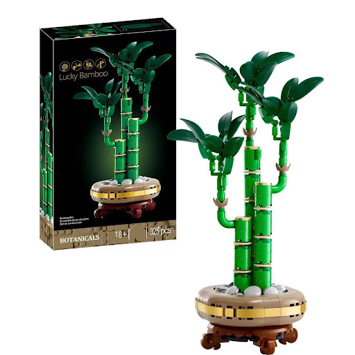 Lucky Bamboo