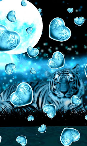 Tiger Wallpaper