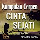 Download Cerpen Cinta Sejati For PC Windows and Mac 1