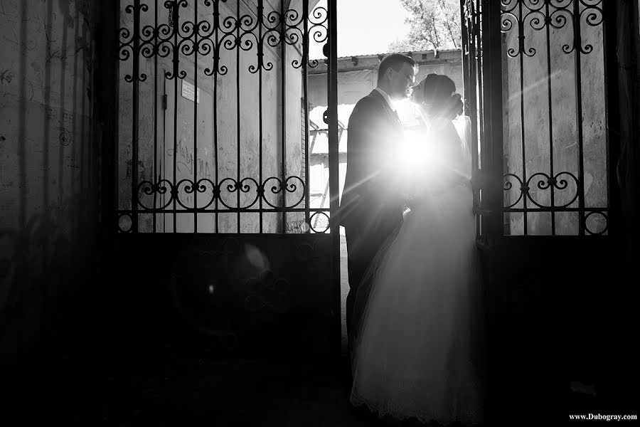 Fotógrafo de casamento Sergey Dubogray (dubogray). Foto de 4 de agosto 2016