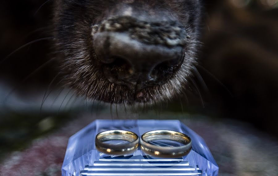 Hochzeitsfotograf Elena Flexas (elenaflexas). Foto vom 9. September 2019