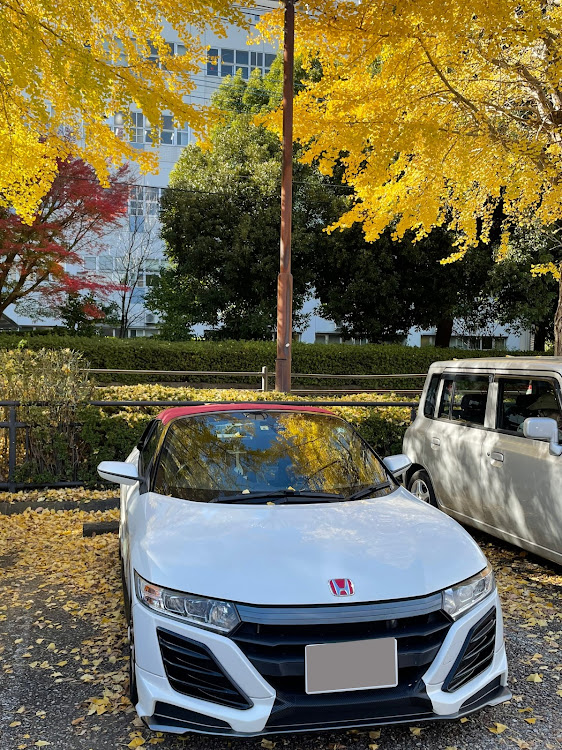 S660の紅葉狩り・高尾山にゴーーー・観光客で大賑わい・甘いものでエネルギー補給に関するカスタム事例の投稿画像1枚目
