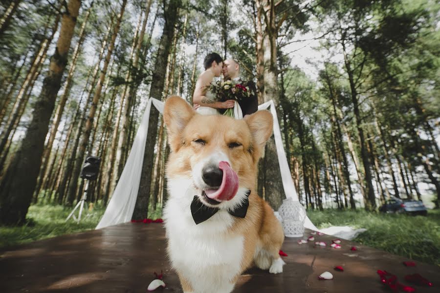 Fotografo di matrimoni Vladimir Voronin (voronin). Foto del 14 agosto 2017