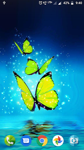 Download Butterfly Wallpaper Hd Free For Android Butterfly Wallpaper Hd Apk Download Steprimo Com