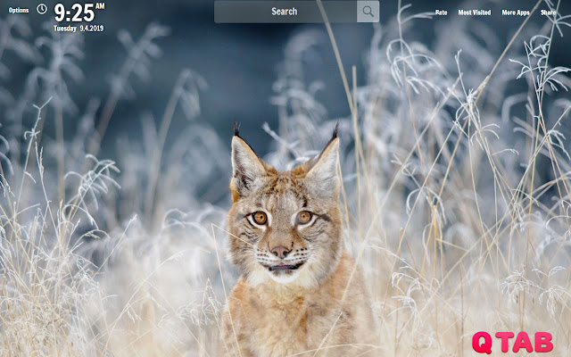 January New Tab January Wallpapers