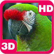 Amazing Bright Macaw Parrot  Icon