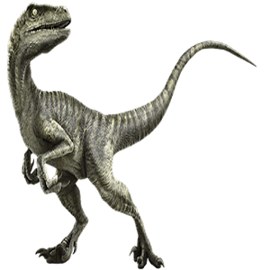 Velociraptor Widget/Stickers.apk 1.0