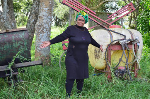 GROWN WILD: Hopewell dairy farm near Macleantown on the N6 was given to Cwayita Mboni, seen standing next to unused ploughing implements. Also, below, a dip tank for cattle is overgrown by shrubs Pictures: RANDELL ROSKRUGE