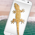 Lizard in phone funny joke icon