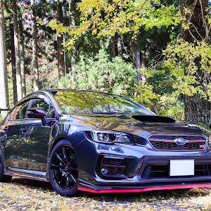 WRX S4 VAG