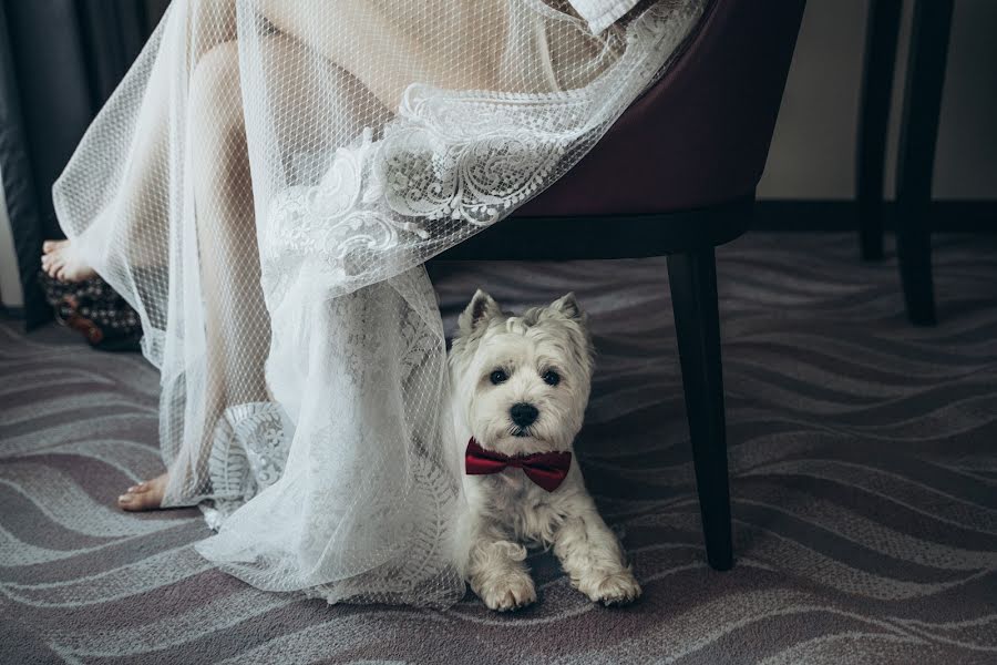 Photographe de mariage Anna Kovaleva (kovaleva). Photo du 1 février 2022