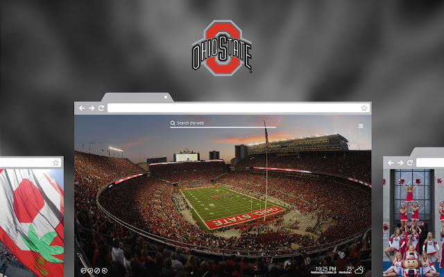 OFFICIAL Ohio State University New Tab Theme