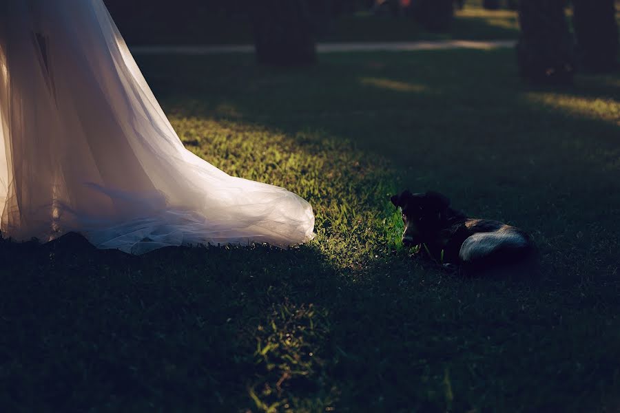 Wedding photographer Andrey Basargin (basargin). Photo of 21 June 2018