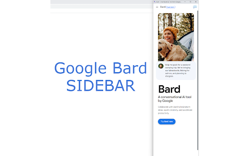 Bard AI Sidebar