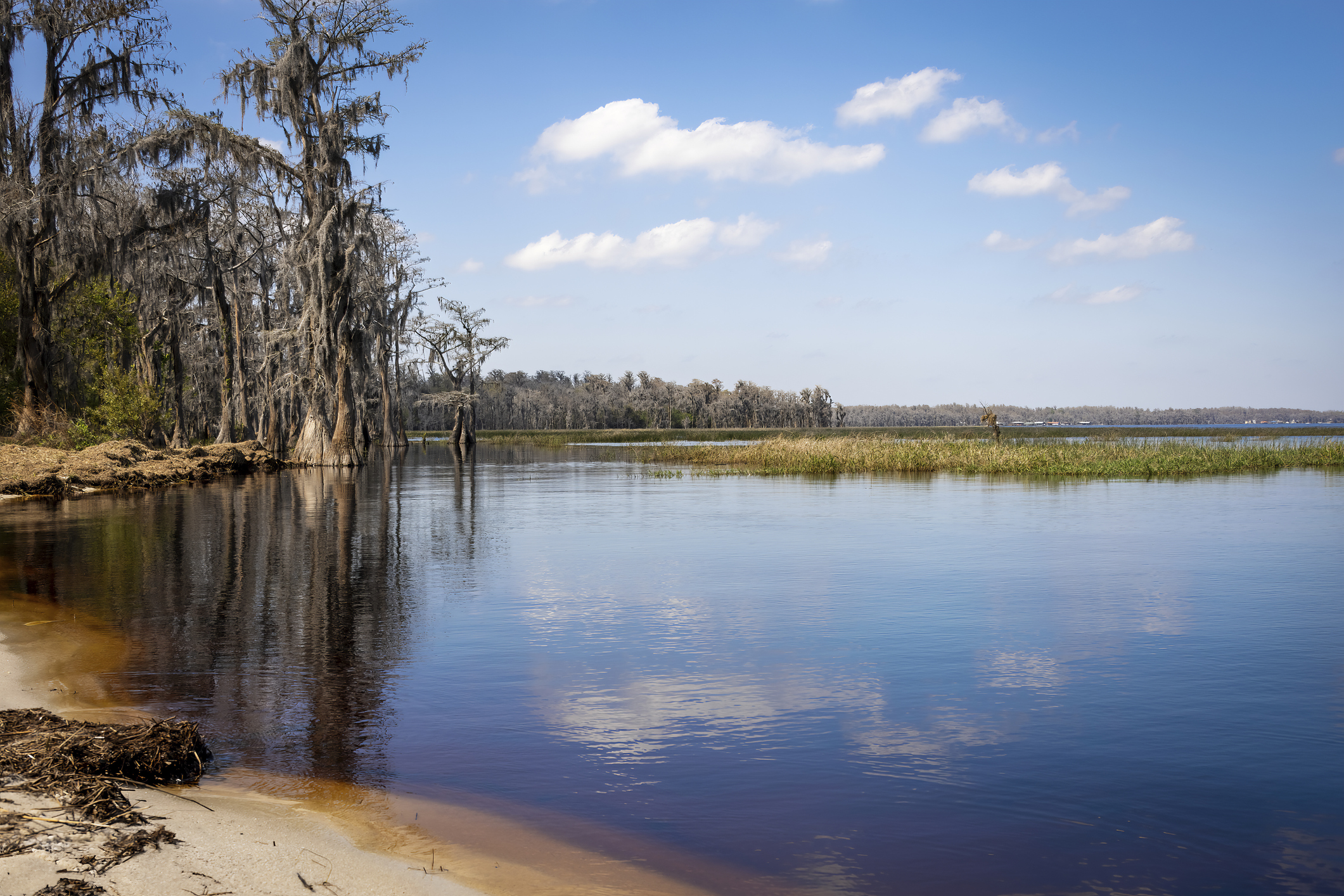 Paradise Park Clermont