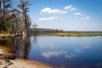 10 Of The Best Things To Do This Summer In Florida: Photos