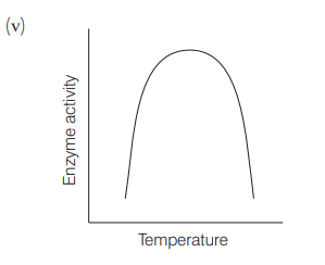 Enzymes