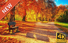 Fall Wallpaper HD Custom New Tab small promo image