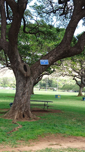 Queen Kapiolani Park Picnic Area 4