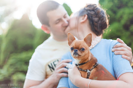 結婚式の写真家Andrey Sinenkiy (sinenkiy)。2017 1月5日の写真