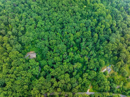 House purchase in Myersville (United States) - Aerial view, isolated house in dense forest