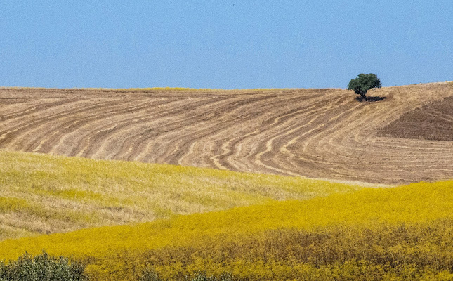 23 Giugno di Libero