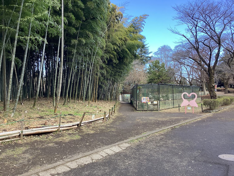 コペンの何時も！何時も！愛変わらずのお付き合い！ありがとうございます！・たわい無い平凡な暮らしにこそ幸せ有り！最高だね！・たわい無い事柄に感謝！最高だね！・１日！一日を大切に！二度と来ない日々です！今を最高に生きる！・物事興味を持って試行錯誤で楽しみ事も勉強になりますね！に関するカスタム事例の投稿画像25枚目