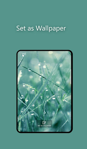 Calm Rain Sounds Relax,Sleep,Meditate,Anti stress