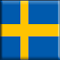 Item logo image for SweDic (Swedish - English Dictionary)