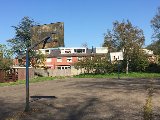 Basketbal Veld