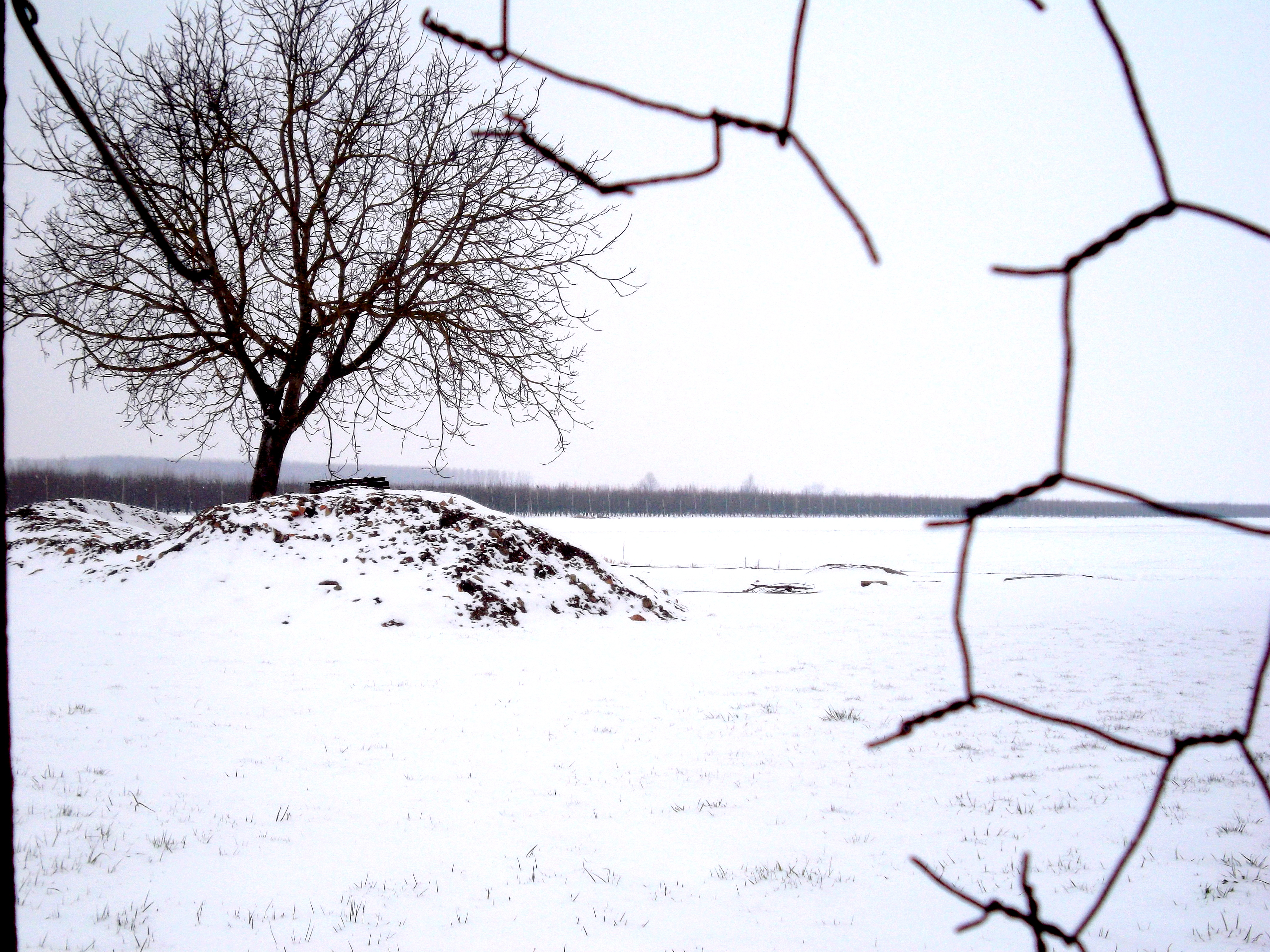 La campagna innevata di Furlissima