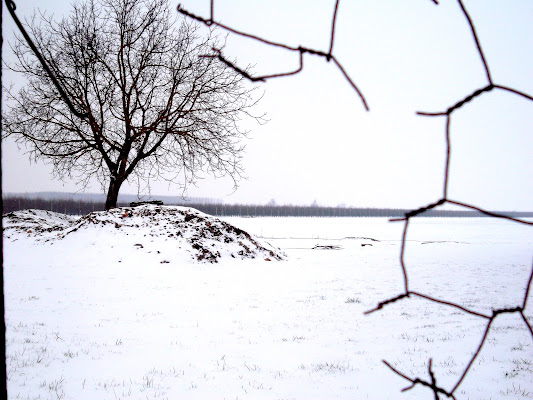 La campagna innevata di Furlissima